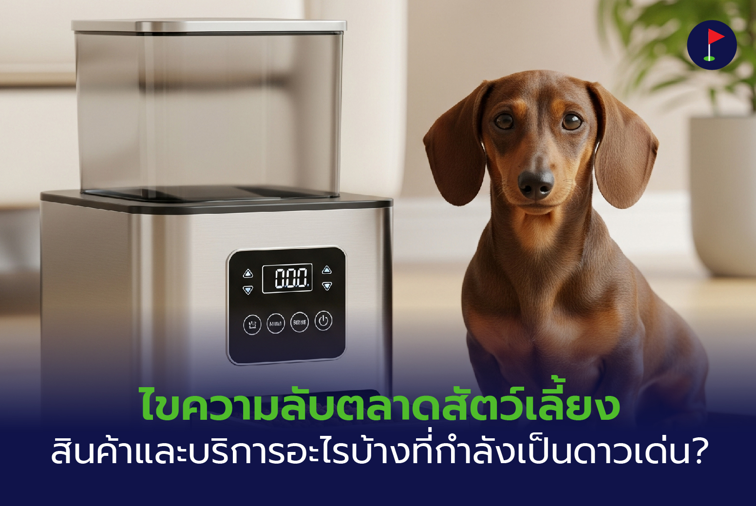 ไขความลับตลาดสัตว์เลี้ยง สินค้าและบริการอะไรบ้างที่กำลังเป็นดาวเด่น!